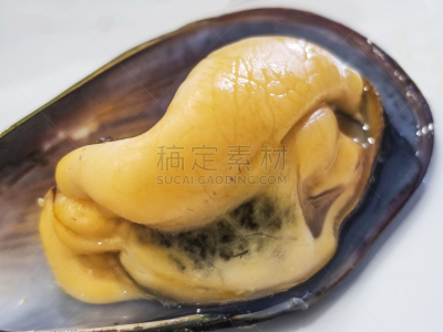 贻贝,加利西亚,加州贻贝,配方,海产,饮食,膳食,食品,图像,品质
