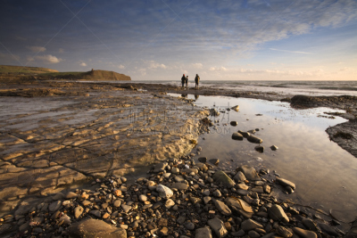 狗,基迈里奇湾,家庭,看风景,宠物,河岸,风景,侏罗纪海岸,移向,步行