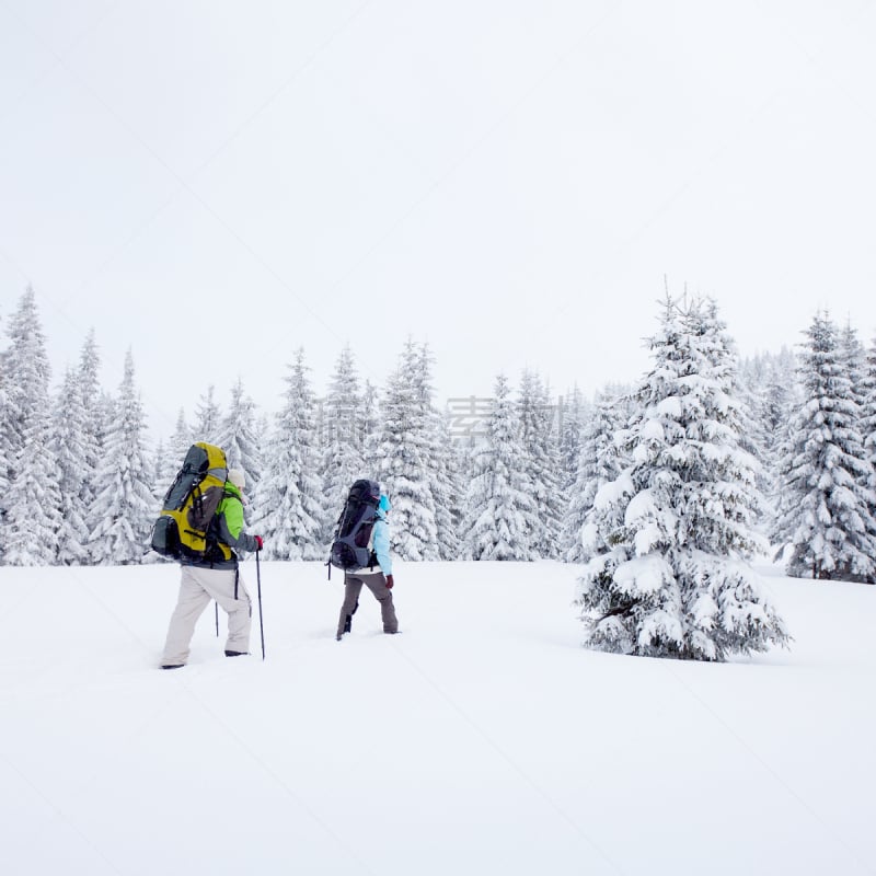 冬天,徒步旅行,森林,天空,青少年,雪,围棋,旅行者,马累,男性