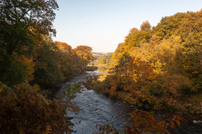 wharfe 河,秋天,图像,国家公园,英国,英格兰,小溪,沃夫河,无人,水