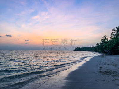 海洋,活力,曙暮光,热带气候,橙色,黄昏,印度洋,波浪,背景,热带树