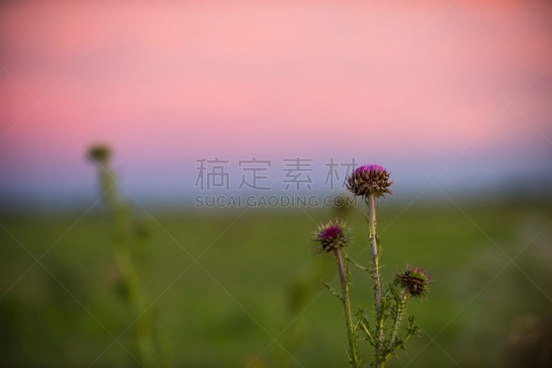 地形,潘帕斯大草原,南美,阿根廷,水平画幅,巴塔哥尼亚,抽象,拉潘帕市,户外,拉丁美洲