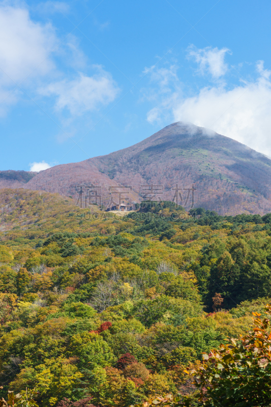 日本,秋天,叶子,福岛县,万代山,汽车,草,著名景点,自然美,枫叶