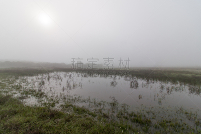 池塘,雨,陆地,宏伟,湿,厚的,草,湖,植物,户外