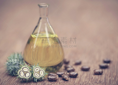 蓖麻油,干的,青豆,卡斯托尔,甘油三酸酯,蓖麻,印度草医学,自然,水平画幅,健康保健