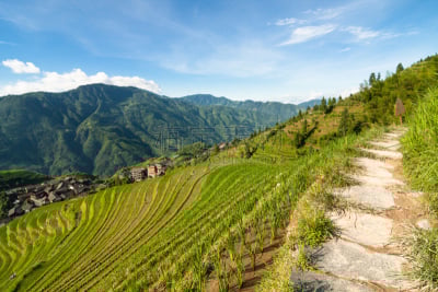 地形,梯田,桂林,龙胜,中国,稻,水稻梯田,天空,水平画幅,山