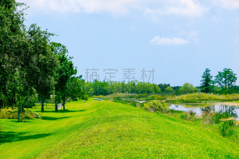 白色,鸟类,过龙河,水,天空,朱鹭,枝繁叶茂,草原,野外动物,夏天