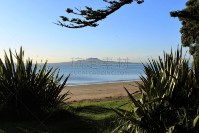 rangitoto channel,早晨,秋天,平衡折角灯,朗伊托托岛,waitemata harbour,奥克兰,休眠火山,面向陆地,亚麻