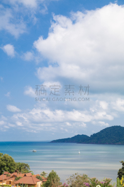 鸡尾酒,无边际泳池,垂直画幅,水,天空,沙子,夏天,棕榈树,明亮,海浪