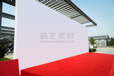 空白的,墙,红毯秀,首次公演,留白,水平画幅,无人,地毯,户外,建筑物门