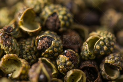 胡椒,花椒属,黑色,背景,褐色,水平画幅,秦椒,阴影,干的,特写