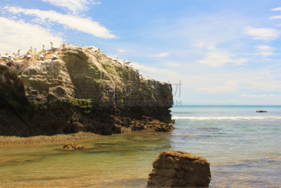 视角,新西兰,cape kidnappers gannet colony,滨水,卷着的,步行道路,石灰石,食盐,hawkes bay region,海岸线