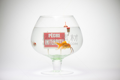 玻璃鱼缸,鱼钩,标志,鸭舌帽,禁止的,水平画幅,水下,玻璃,家庭生活,拆毁的