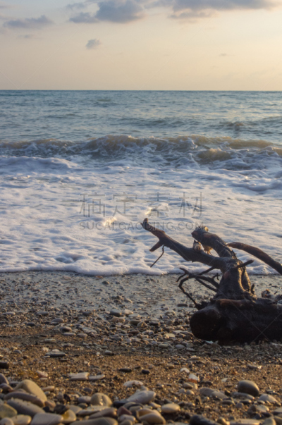 海洋,波浪,浮木,海浪,疲劳的,圆石滩,垂直画幅,水,古老的,夏天