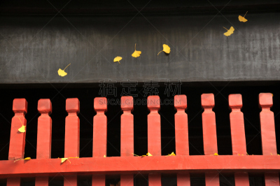 银杏树,栏杆,叶子,四川省,自然,拍摄场景,水平画幅,秋天,无人,古老的
