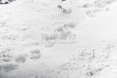 阿米亚塔山,自然,寒冷,宁静,野生动物,水平画幅,地形,山,无人,户外