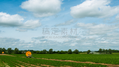 萨弗克,天空,水平画幅,无人,泥土,贝里圣埃德蒙兹,夏天,户外,大豆,豆
