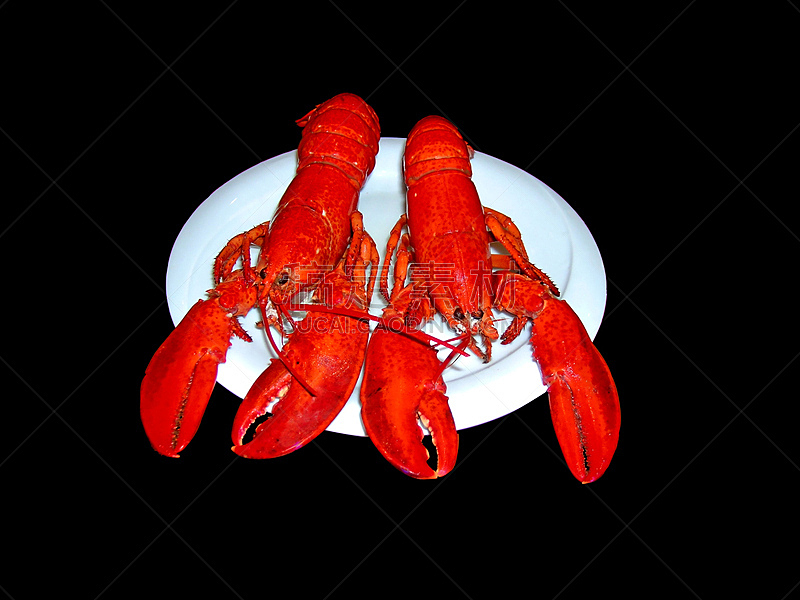 龙虾,盘子,分离着色,尾鳍,餐具,煮食,水平画幅,海产,特写,晚餐