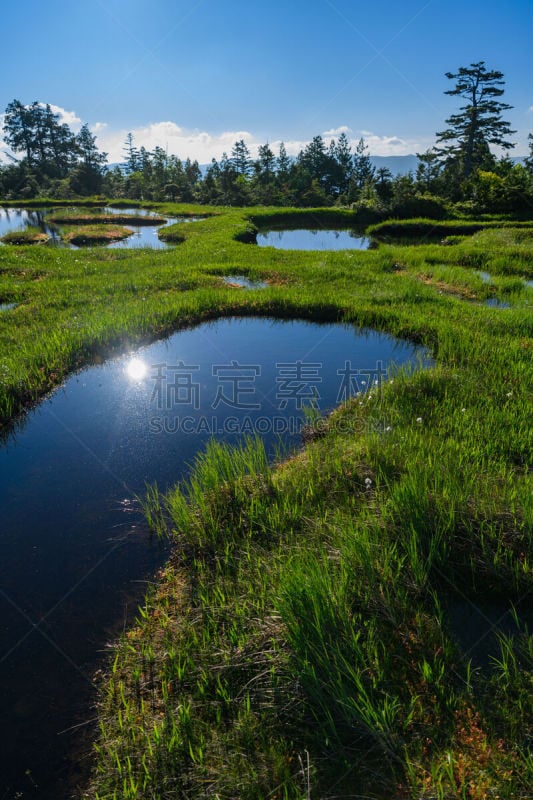 夏天,早晨,自然,垂直画幅,六月,御岳山,停泊的,旷野,摩尔人风格,地形