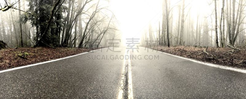 雾,空的路,波特兰,林荫路,俄勒冈州,天空,自由,沥青,光,街道