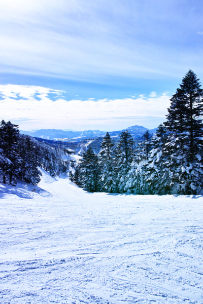 滑雪坡,山之内町,滑雪痕,地球女神,长野县,滑雪板,垂直画幅,天空,里山,度假胜地