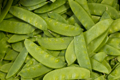 雪,豌豆,水平画幅,豌豆荚,无人,生食,一模一样,特写,豆荚,大量物体