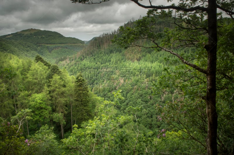 英国,威尔士,地形,森林,看风景,桥,恶魔,桨叉架船,云景,云