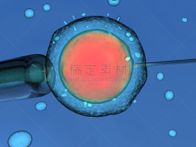 人工授精,人类兹戈特,胚胎,手术缝合,生物科技,水平画幅,无人,科学,健康保健,新生活