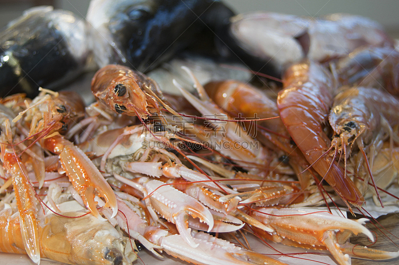 甲壳动物,螯虾,水平画幅,无人,软体动物,2015年,海产,清新,摄影,瘦身