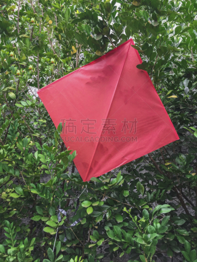多色的,风筝,背景,叶子,生日,自然,垂直画幅,美国,夏日音乐节,户外