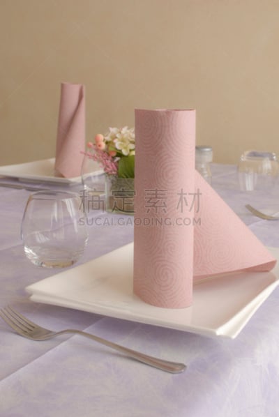 伊利诺斯州,垂直画幅,折叠的,无人,椅子,seating chart,餐巾,晚餐,桌子,玻璃杯