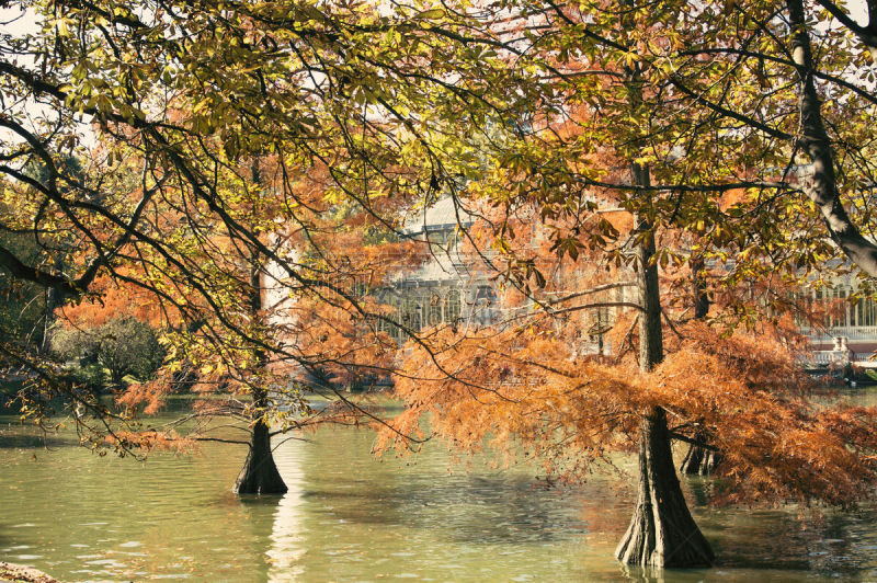 水晶宫,马德里,西班牙,丽池公园,纪念碑,水平画幅,旅行者,户外,湖,建筑业