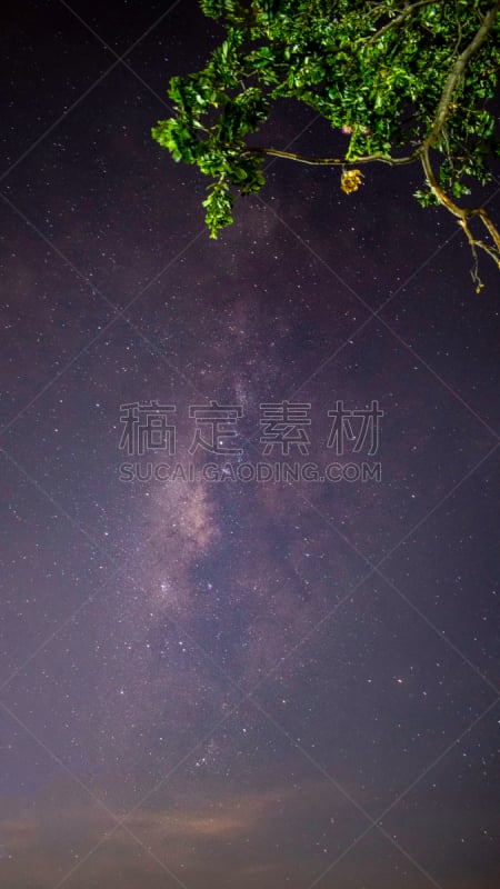 梯田,田地,星星,高大的,稻,太空,浅的,星系,银河系,柔焦