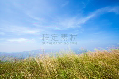 草,山,田地,巴岳山,长野县,自然,褐色,水平画幅,无人,蓝色