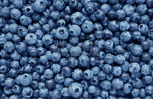 蓝莓,清新,背景,丰富,浆果,水果,农作物,堆,超级市场,健康食物