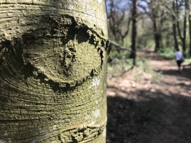 I’m watching you. Eye carved into tree in woods with woman walking past in background on the path. She’s not recognizable so no release necessary on her.