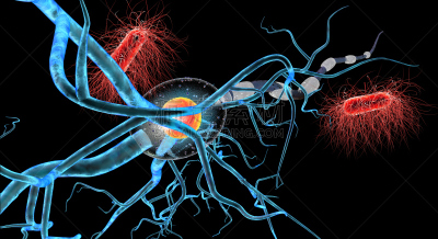 3d illustration of nerve cells and viruses