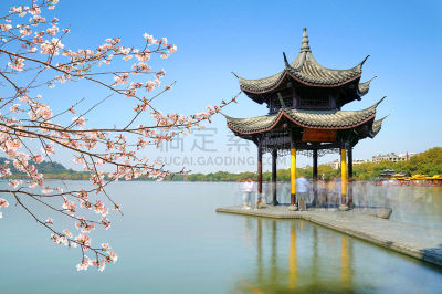 建筑,西湖,杭州,地形,自然美,云,荷花,公园,池塘,雷峰宝塔