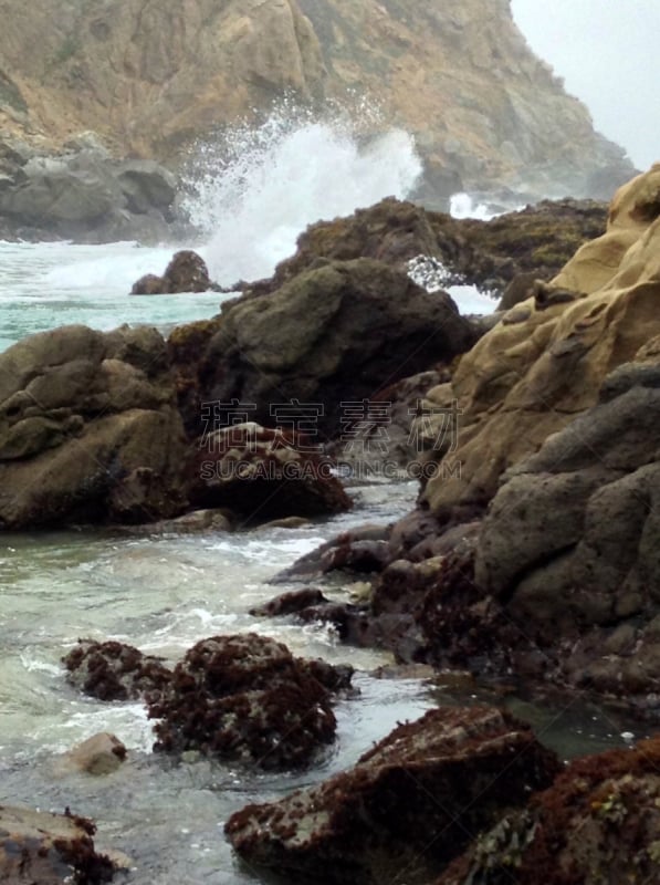 普费弗海滩,大苏尔,垂直画幅,水,海浪,海滩,岩石,无人,户外,太平洋