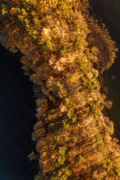湖,在上面,森林,立陶宛共和国,航空器拍摄视角,海门林纳,山脊,四轴飞行器,风,环境保护
