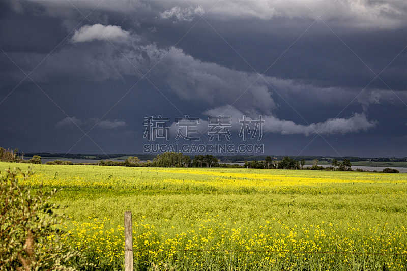 草原,加拿大,乌云,天空,美,暴风雨,水平画幅,地形,无人,夏天