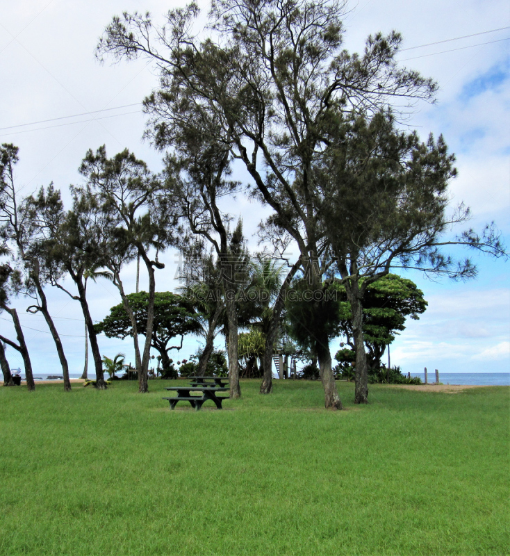 外米亚海湾,岩石,瓦胡岛,野餐桌,海滩,桑拿浴,救生员,北部岸,社区,跳