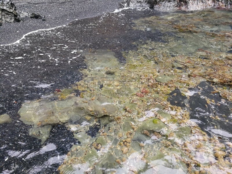 铝的,丽都,水,水平画幅,无人,夏天,伊特鲁里亚海,户外,海底,特写