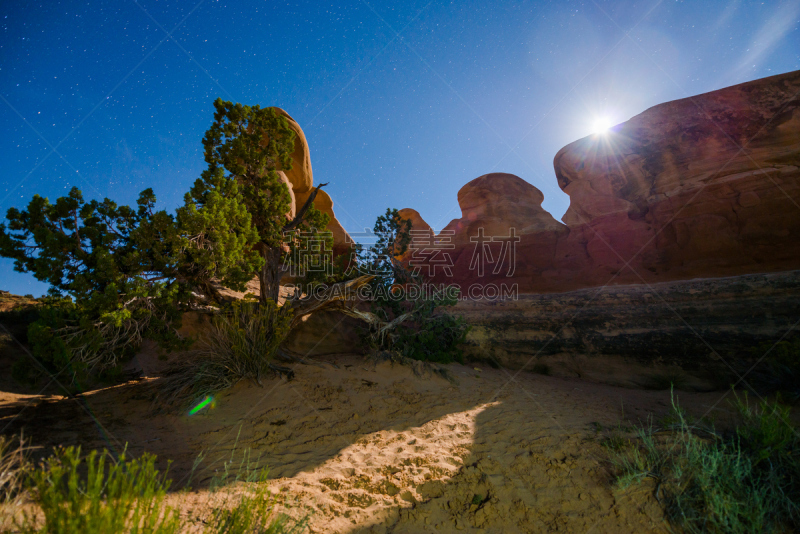 escalante,devil's garden,夜晚,纪念碑,天空,美,艾丝卡兰迪峡谷,水平画幅,无人,户外