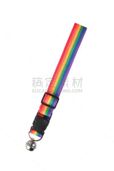 分离着色,宠物项圈,白色,狗链,扣环,泰国,脖子,狗,动物,设备用品