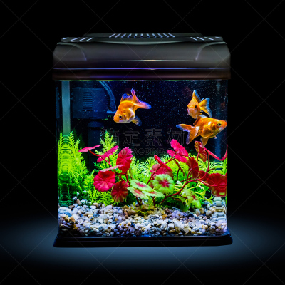 水族馆,金鱼,夜晚,鱼缸,玻璃鱼缸,水,休闲活动,无人,水下,工厂