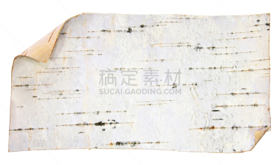 白桦,白色背景,树皮,纹理,木制,黄色,标签,背景,布告,水平画幅