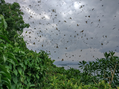基伍湖,非洲,卢旺达,水,天空,美,水平画幅,旅行者,夏天,户外