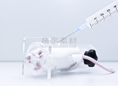 药,鼠,医学检测,研究人员,生物科技,水平画幅,老鼠,科学实验,科学