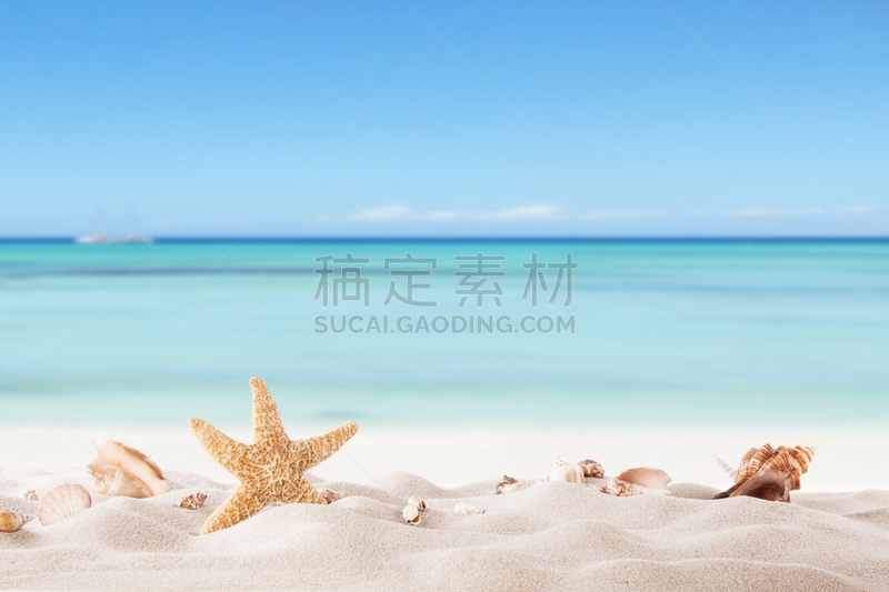 贝壳,夏天,海滩,海星,沙子,海岸线,绿松石色,度假胜地,泻湖,晴朗